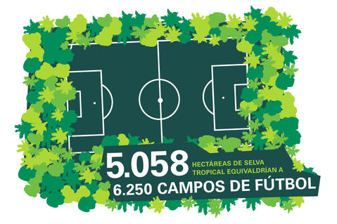 Día Mundial del Medio Ambiente, Prologis refuerza su Compromiso por Reducir su Huella de Carbono Día Mundial del Medio Ambiente, Prologis refuerza su Compromiso por Reducir su Huella de Carbono